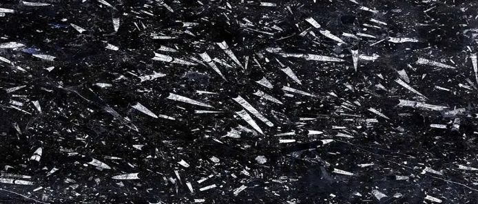 Black Fossil Marble Tile Beautiful Car Porch