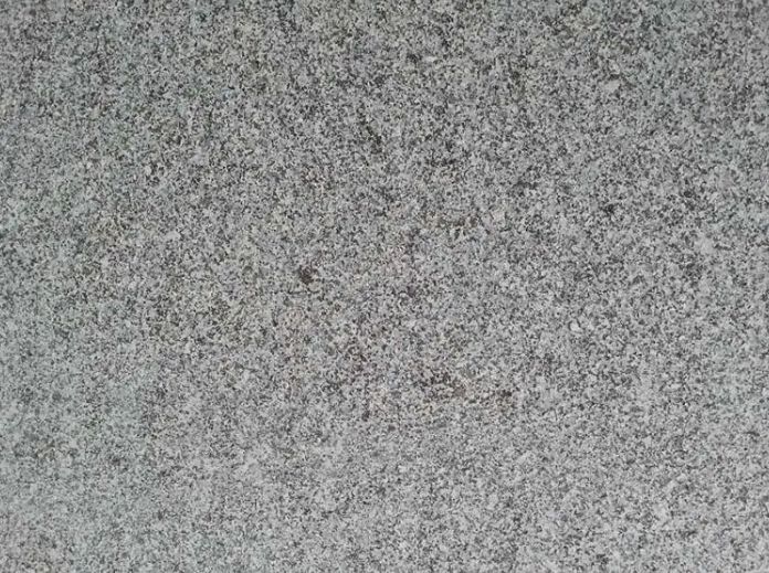 Granite Grey New China Pandang