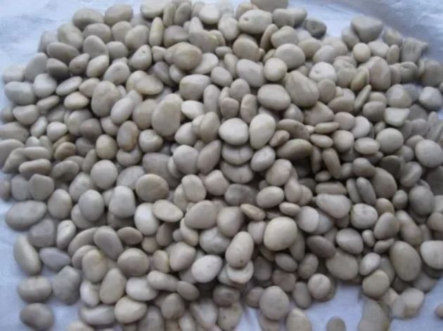 High White Color Pebble Stone
