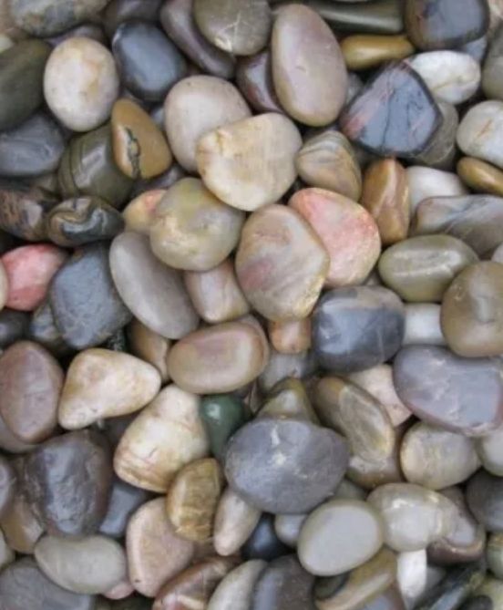 Mix Color Pebble Stone