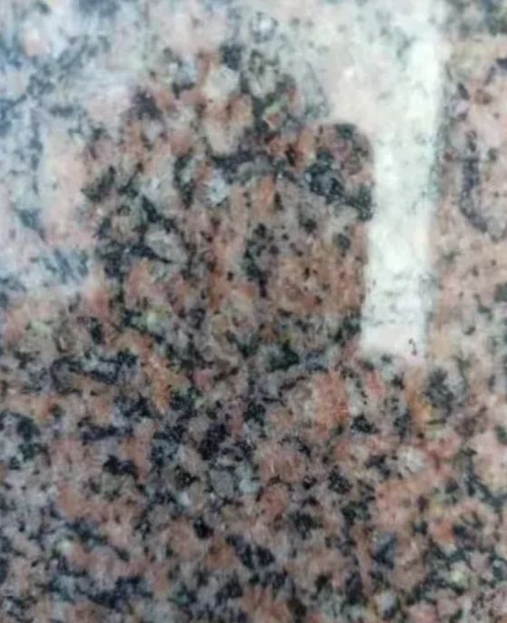 Pearl Red Granite Big Slabs Tombstone Monument Headstone Wholesale