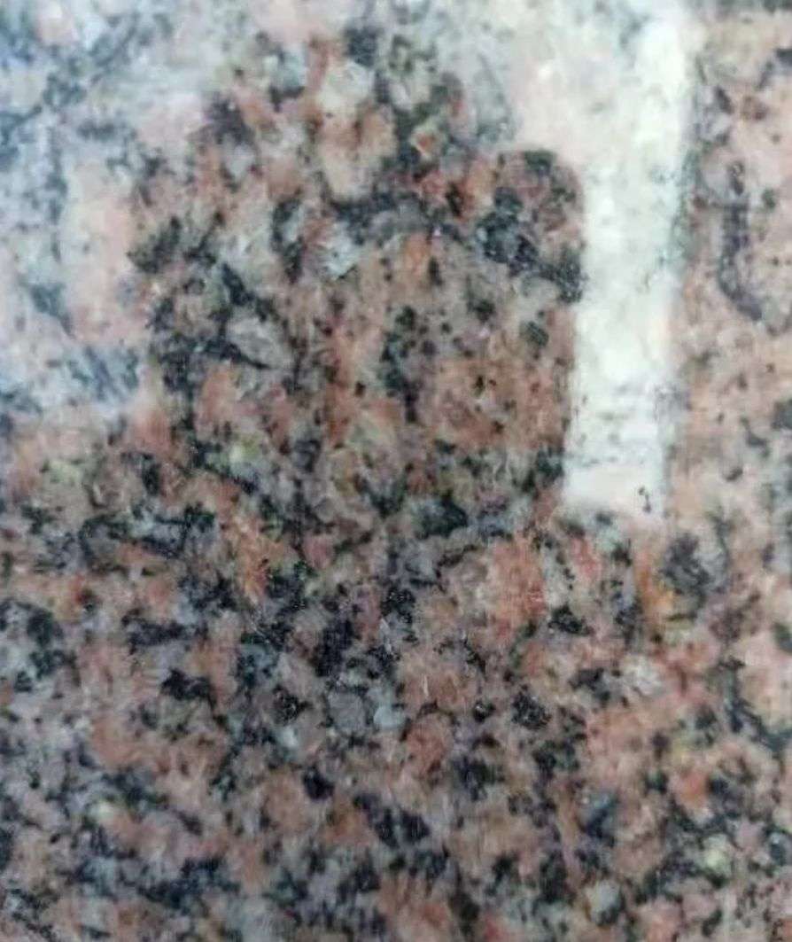Pearl Red Granite Big Slabs Tombstone Monument Headstone Wholesale