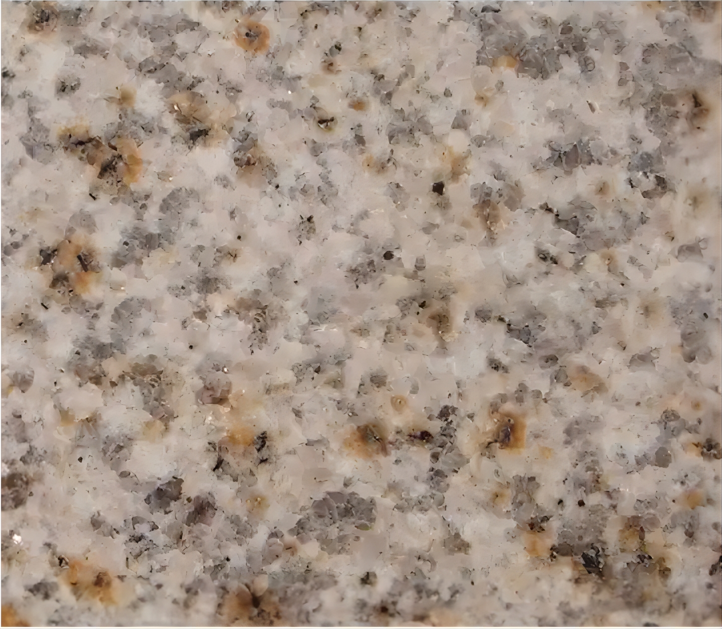 Yellow Granite Supplier G682 Beige Cream