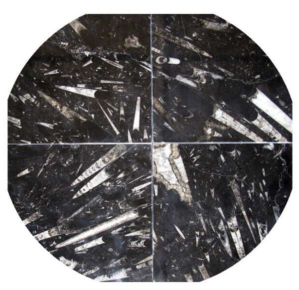 Black Fossil Marble Tile Beautiful Car Porch
